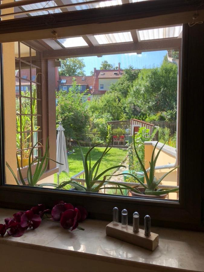 Ferienwohnung An Der Gruenen Clara エアフルト エクステリア 写真